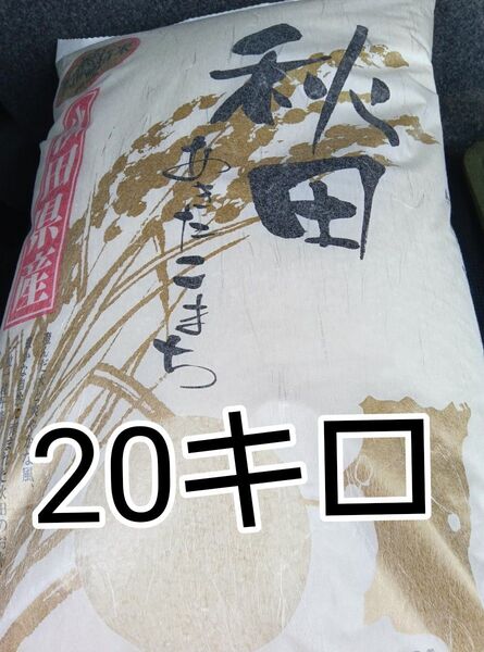 秋田産 あきたこまち 令和6年度米 今年5月精米 20キロ