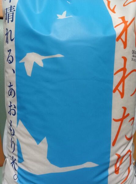 青森県産 はれわたり 特A 計10kg 米 新米 令和6年度産