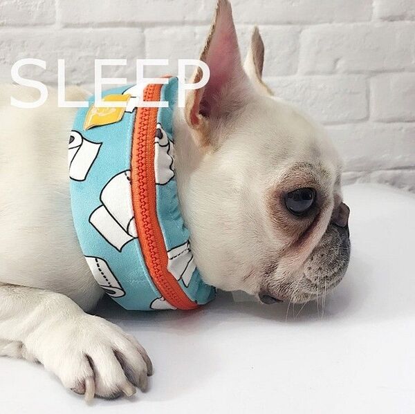 4PETS 犬の服 クールネック クーラー Mサイズ