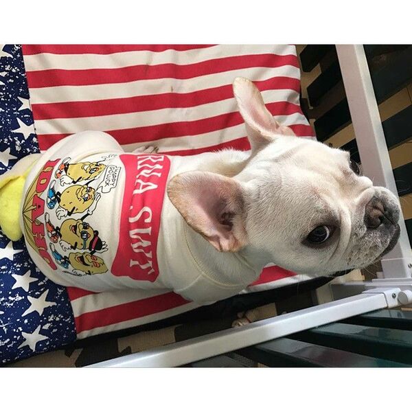 4PETS 犬の服 トレーナー 洋服 ドッグウェア XXLサイズ