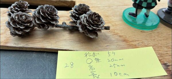 松ぼっくり 枝付き 5個 インテリア飾りやリース作成などに(28)