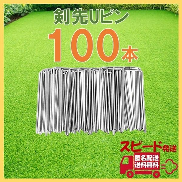 剣先Uピン杭 10㎝ 100本 人工芝 おさえピン 固定用 U字型 ピン