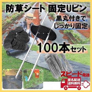 防草シート ピン Uピン杭 100本セット シート押え 黒丸付 固定ピン 防雪