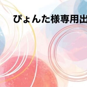 ぴょんた様専用出品