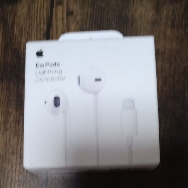 EarPods with Lightning Connector MMTN2J/A ホワイト