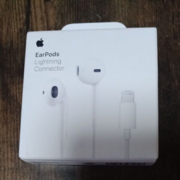 EarPods with Lightning Connector MMTN2J/A ホワイト