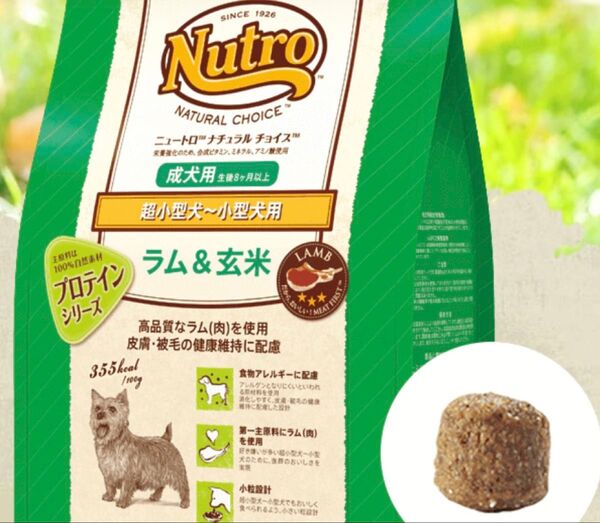 ニュートロ ナチュラルチョイス ラム玄米 成犬用ドッグフード アダルト 超小型犬 小型犬