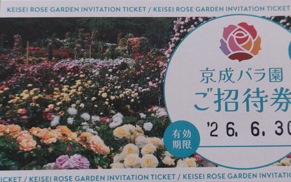 京成バラ園 入園券 入場チケット