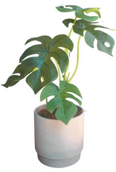 フェイクグリーン 卓上 モンステラ 造花 人工観葉植物 インテリアグリーン 40㎝ 植木鉢付き ココファイバー付 3点セット