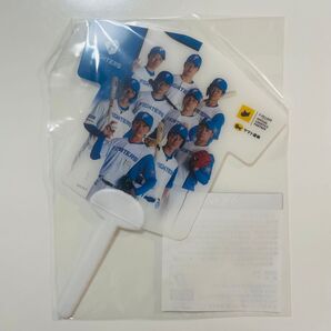 北海道日本ハムファイターズ FIGHTERS うちわ ミニうちわ 野球 プロ野球