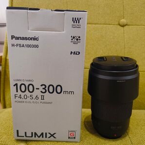 Panasonic LUMIX G VARIO 100-300mm