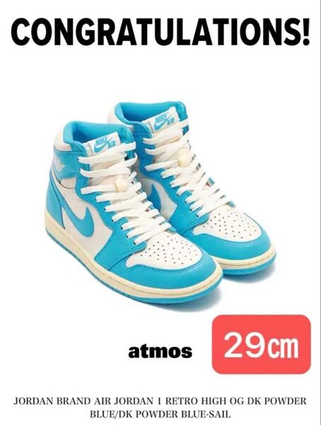 US 11 29 ㎝ Nike Air Jordan 1 High OG UNC Reimagined ジョーダン