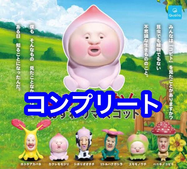 コンプリート こびとづかん おすわりマスコット 全6種 ガチャ
