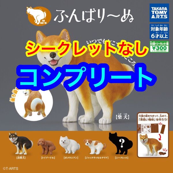 ふんばりーぬ ふんばり~ぬ 5種 コンプセット ガチャ タカラトミーアーツ カプセルトイ フィギュア 犬