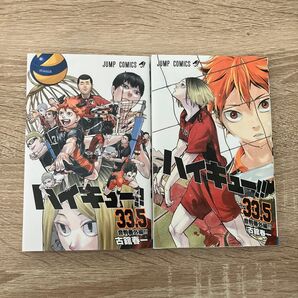 劇場版ハイキュー ゴミ捨て場の決戦 33.5巻