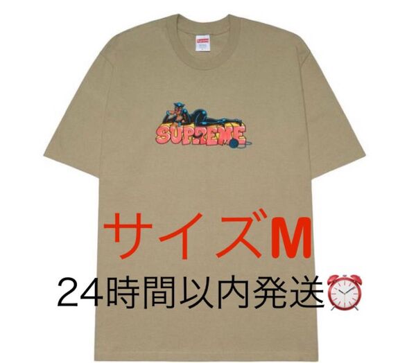 (新品未使用)Supreme Catwoman Tee "Stone"シュプリーム キャットウーマン Tシャツ "ストーン"