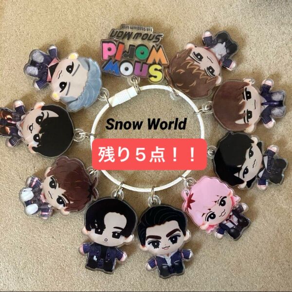 SnowMan アクリルキーホルダー Snow World