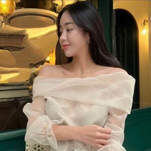 SHEIN シーイン オフショル ブラウス シアー