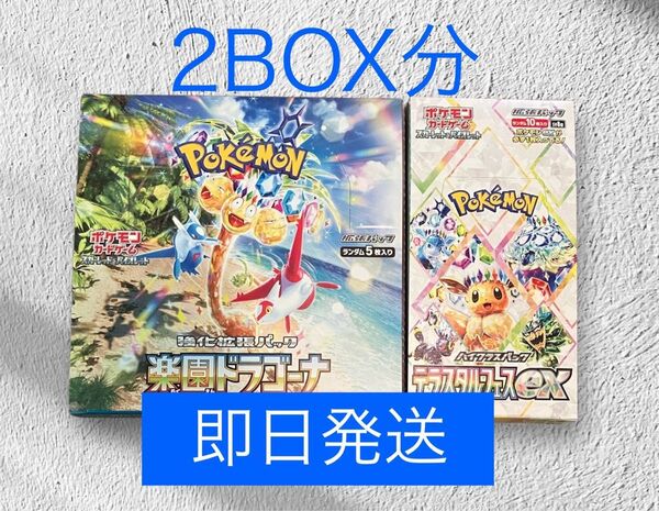【即日発送】テラスタルフェスex 楽園ドラゴーナ 各1BOX分 40パック