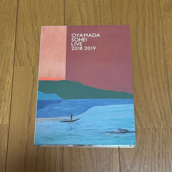 小山田壮平 / OYAMADA SOHEI LIVE 2018 2019 〈2枚組〉