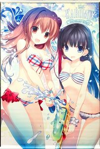 KAROMIX swimsuit beautiful young lady B2 tapestry karory goods 