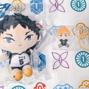 ハイキュー!! フリューくじ ぬいもっち