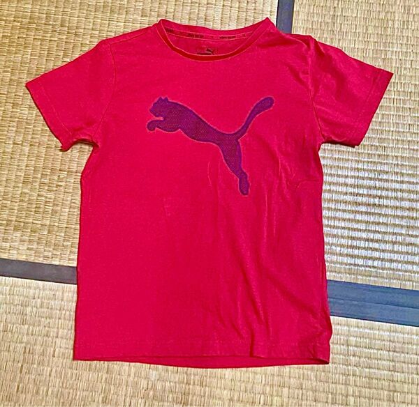 プーマ Tシャツ 男の子150 キッズ 半袖 赤 レッド PUMA 赤