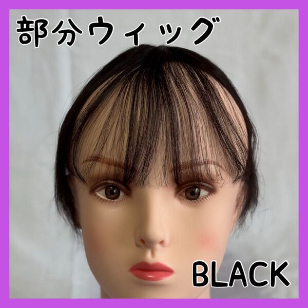 【ブラック】部分ウィッグ つむじ 前髪 人毛 自然 エクステ 頭頂部 クリップ ウィッグ