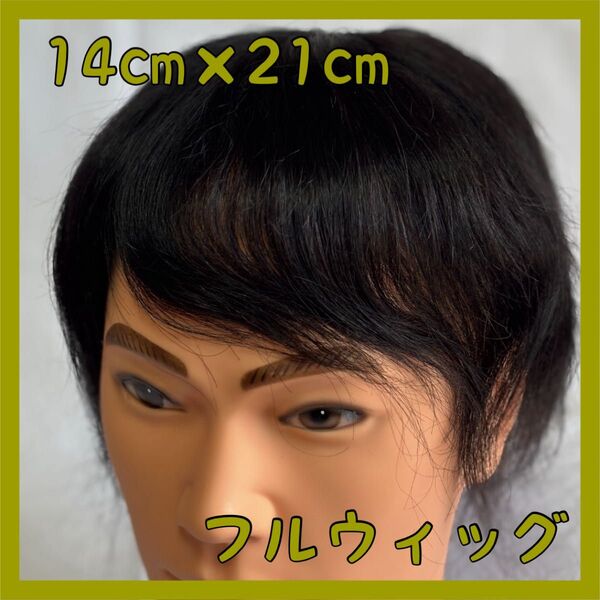 【14×21】メンズ ウィッグ 男性用 かつら 100%人毛 黒色