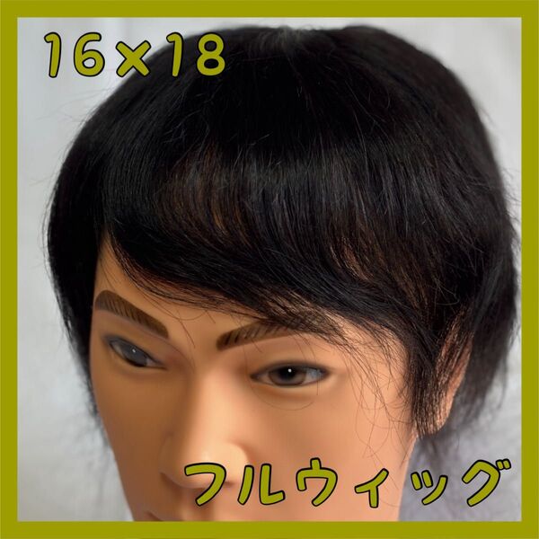 【16×18】メンズ ウィッグ 男性用 かつら 100%人毛 黒色