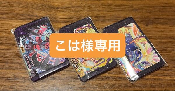 ポケモンフレンダ5弾 ST イベルタル ゼルネアス タケルライコ 他 5枚セット