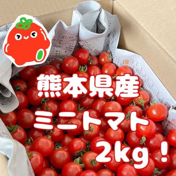 【 農家直送!完熟新鮮! 】 熊本県産 ミニトマト2kg