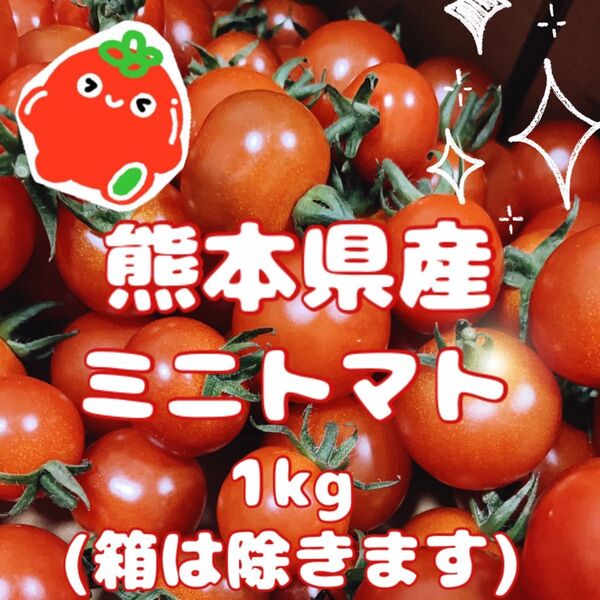 【 減農薬・完熟新鮮 】 熊本県産 ミニトマト1kg