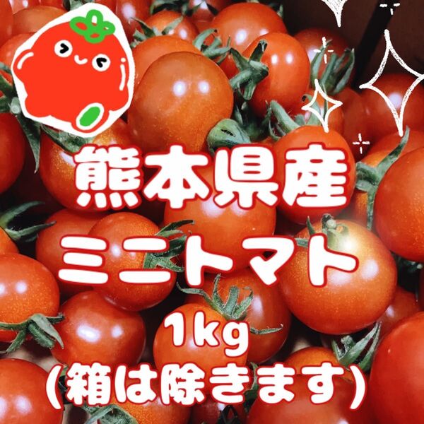 ☆農家直送・完熟☆ 熊本県産 ミニトマト1kg