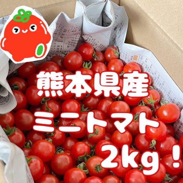 【ポメボメ様ご注文分】 熊本県産 ミニトマト2kg