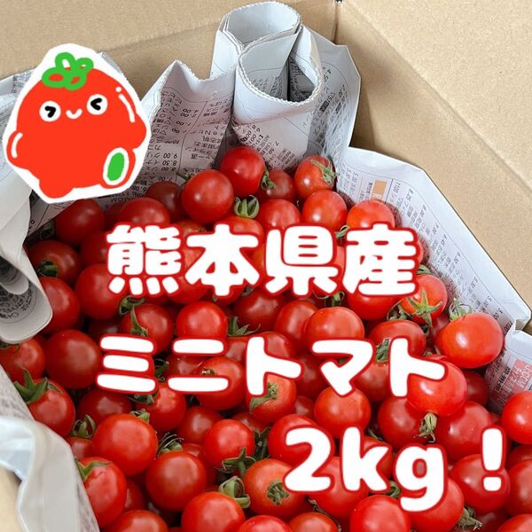 ☆減農薬・農家直送☆ 熊本県産 ミニトマト2kg