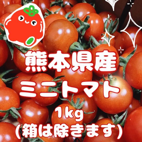 ★減農薬・農家直送★ 熊本県産 ミニトマト1kg