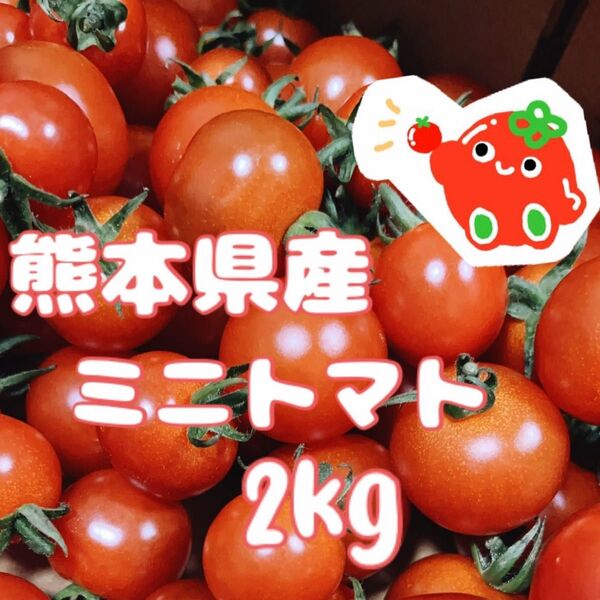★減農薬・農家直送★ 熊本県産 ミニトマト2kg