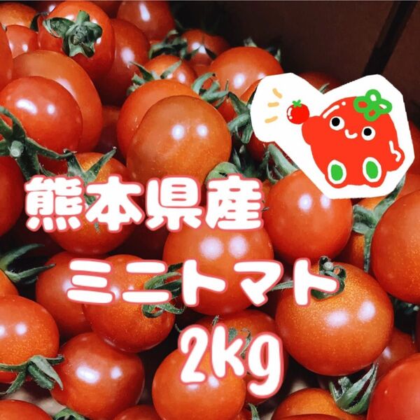 ★減農薬・農家直送★ 熊本県産 ミニトマト2kg
