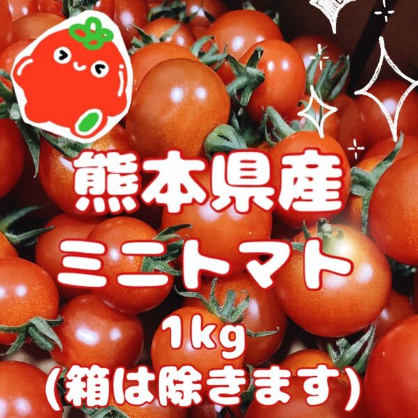 ★減農薬・農家直送★ 熊本県産 ミニトマト1kg