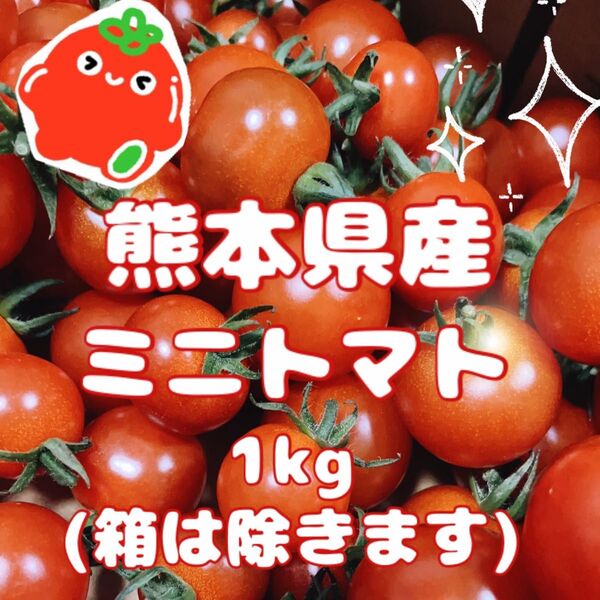 ★減農薬・農家直送★ 熊本県産 ミニトマト1kg