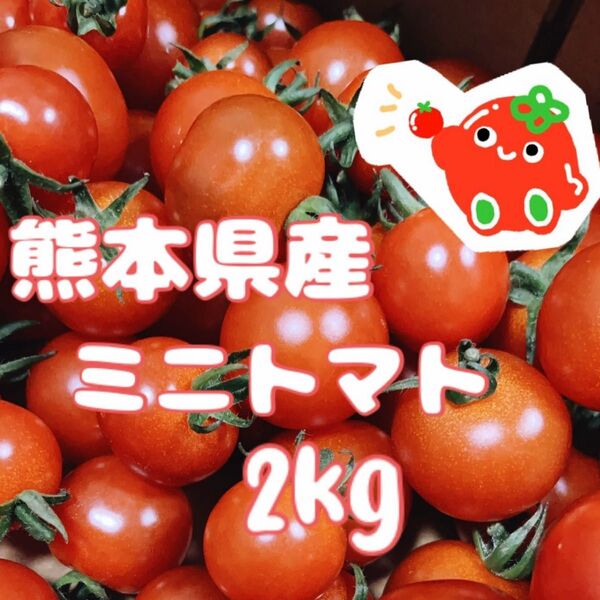 ★減農薬・農家直送★ 熊本県産 ミニトマト2kg