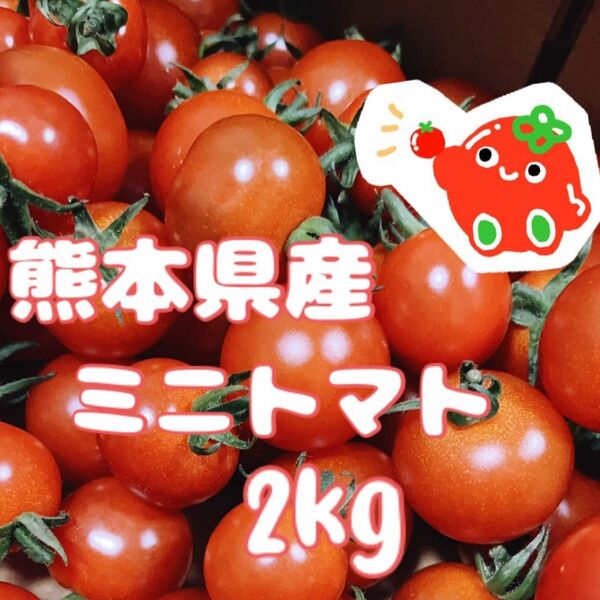 ★減農薬・農家直送★ 熊本県産 ミニトマト2kg