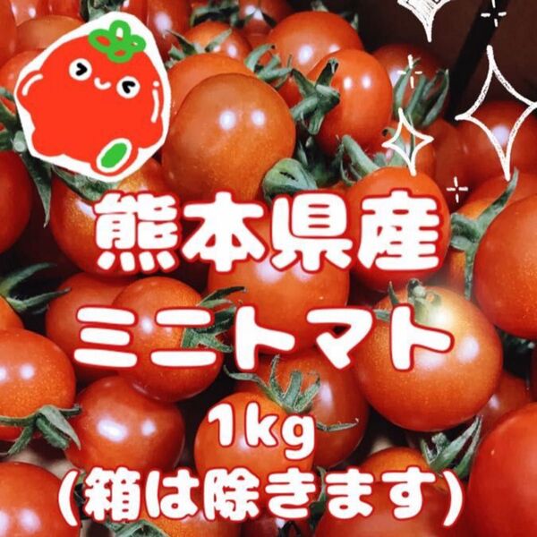 ★減農薬・農家直送★ 熊本県産 ミニトマト1kg