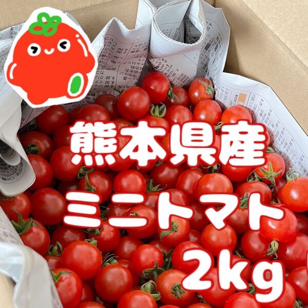 ★粒ぞろいで新鮮★ 熊本県産 ミニトマト2kg