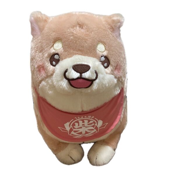 忠犬もちしば うるうるBIGぬいぐるみ