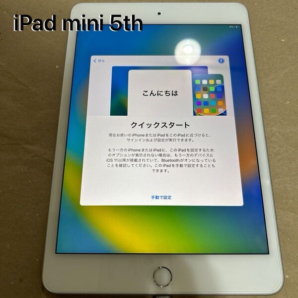 本体のみ Apple iPad mini5 WiFi 64GB シルバー