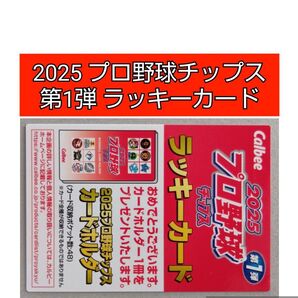 カルビー 2025 プロ野球チップス 第1弾 ラッキーカード