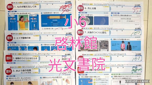 小6 理科 テスト カラーテスト 啓林館 光文書院 8枚 6年
