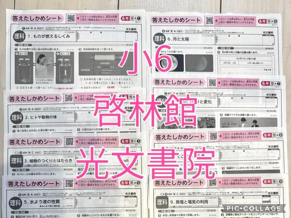 小6 理科 テスト カラーテスト 解答 啓林館 光文書院 8枚 6年